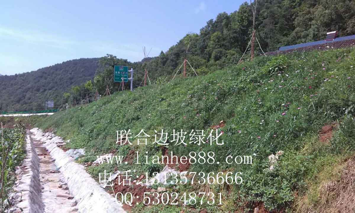 貴州、安順滬昆高鐵項(xiàng)目