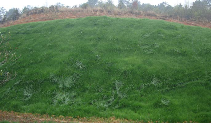 無土纖維植被護(hù)坡施工工藝