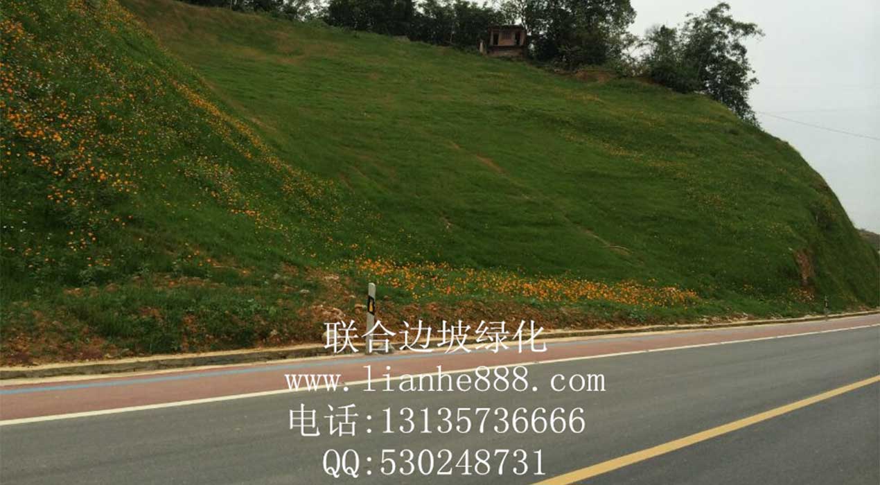 1717742542124064.jpg 20180110164133706.jpg