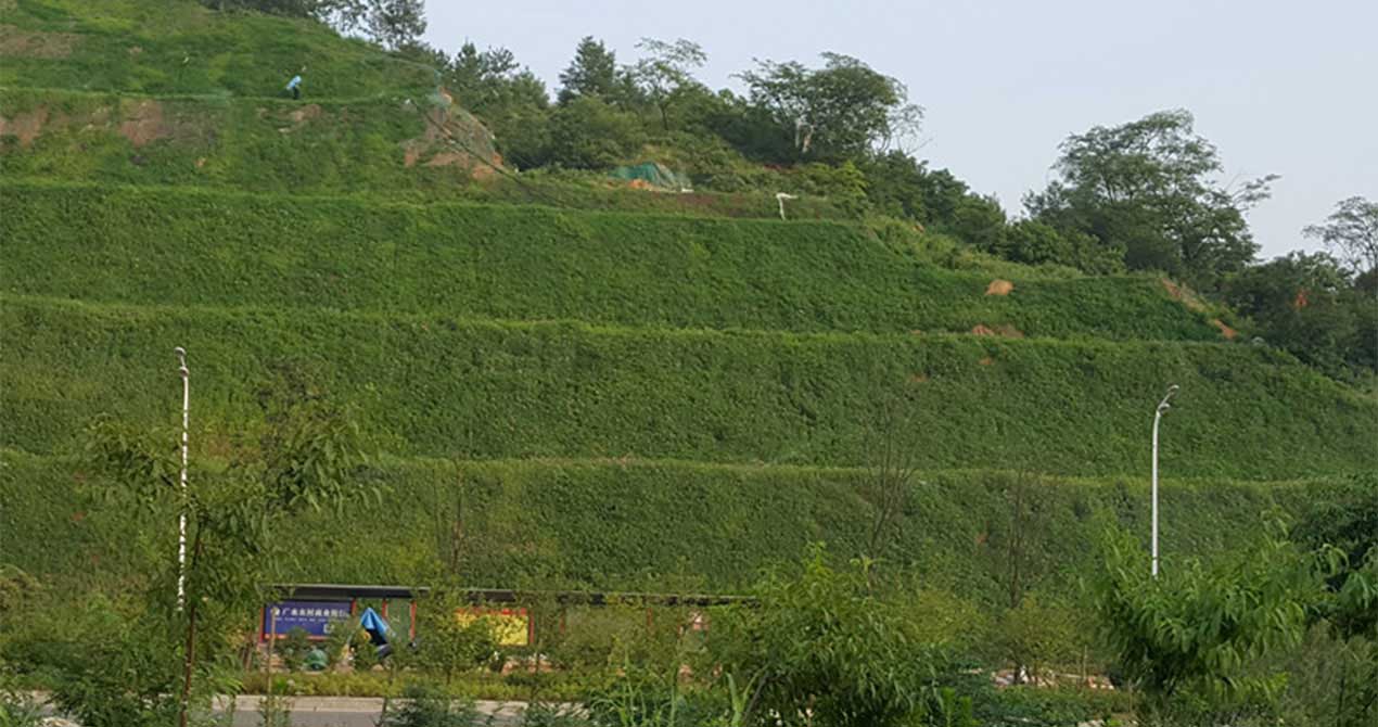 1718763505132593.jpg 20240530195206.jpg